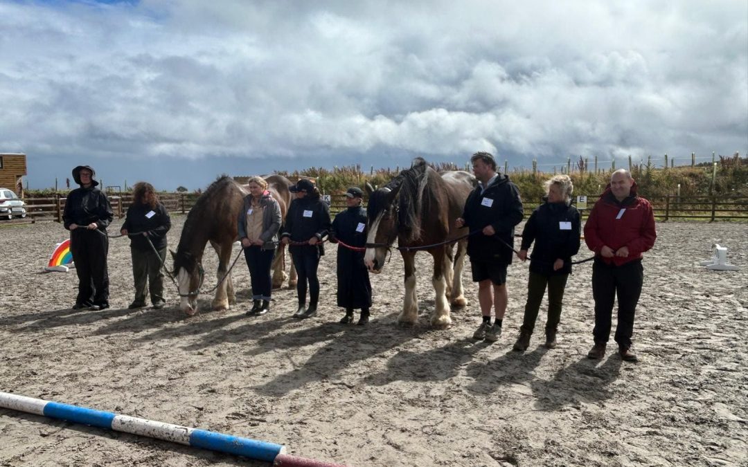 Leadership Beyond the Office – The Transformative Power of Horses and Human Connection