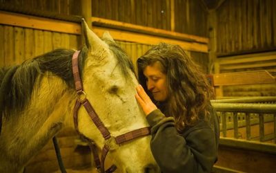 When the System Fails – What Horses Know That Leadership Models Don’t
